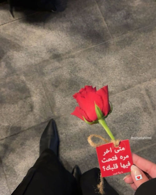 تجربة ٠٤