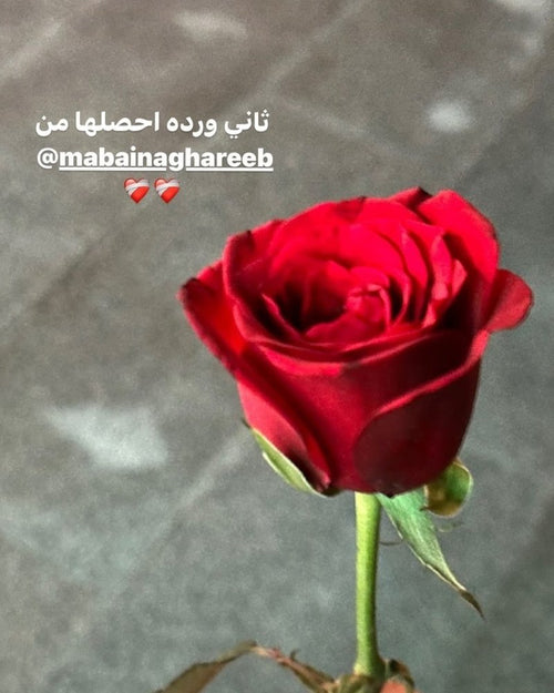 تجربة ٠٤